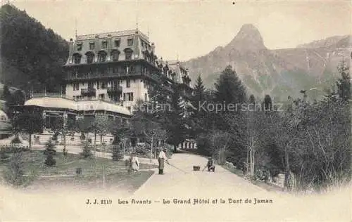 AK / Ansichtskarte  Les Avants VD Le Grand Hotel et la Dent de Jaman