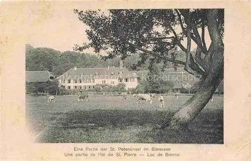 AK / Ansichtskarte  Bielerseeinsel Lac de Bienne BE Eine Partie der St Petersinsel