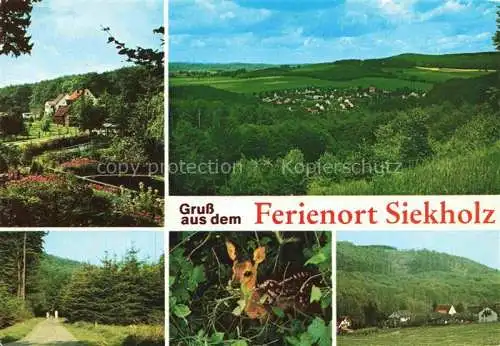 AK / Ansichtskarte  Siekholz Panorama Ferienort Waldweg Rehkitz