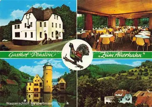 AK / Ansichtskarte  Hobbach Gasthof Pension zum Auerhahn Gastraum Wasserschloss Mespelbrunn Naturpark Spessart