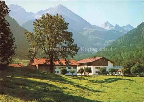 AK / Ansichtskarte  Birgsau Oberstdorf Bauernhaus Blick gegen Allgaeuer Alpen