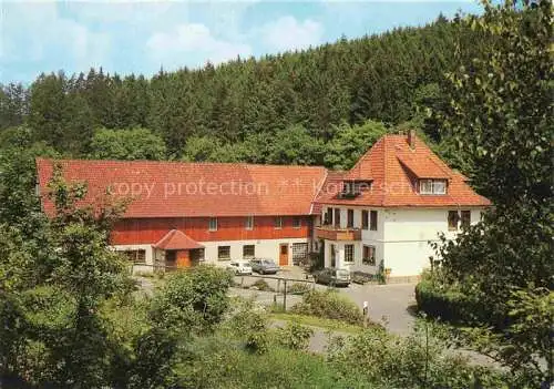 AK / Ansichtskarte  Loewenhagen Gasthaus Pension Spiessmuehle