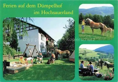 AK / Ansichtskarte  Wulmeringhausen Olsberg Ferien auf dem Bauernhof Duempelhof Sandkasten Haflinger Pferde