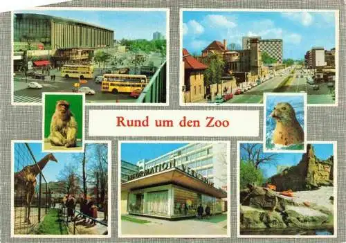 AK / Ansichtskarte  Zoo Gardin Zoologique-- Berlin 