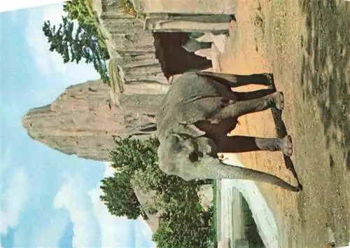 AK / Ansichtskarte  Zoo Gardin Zoologique-- Paris Elefant Asie 