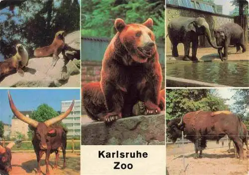 AK / Ansichtskarte  Zoo Gardin Zoologique-- Karlsruhe Seeloewen Watussi Rinder Braunbaer Elefanten Bison