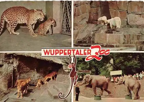 AK / Ansichtskarte  Zoo Gardin Zoologique-- Wuppertal Elefanten Loewen Eisbaeren 