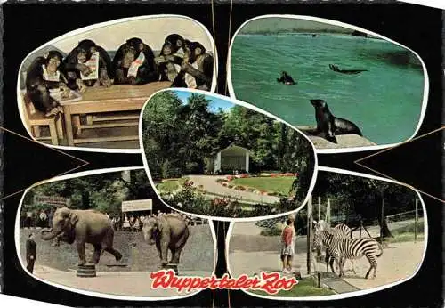 AK / Ansichtskarte  Zoo Gardin Zoologique-- Wuppertal Elefanten Zebras Affen 