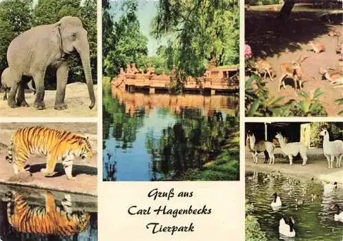 AK / Ansichtskarte  Zoo Gardin Zoologique-- Carl Hagenbeck Hamburg Elefant Tieger Lama 