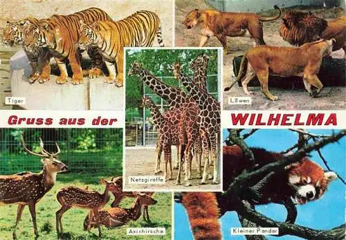 AK / Ansichtskarte  Zoo Gardin Zoologique-- Wilhelma Stuttgart Giraffe Axishirsch Pandar  Loewe Tiger