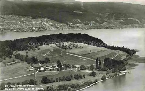 AK / Ansichtskarte  Bielerseeinsel Lac de Bienne BE Vue aerienne