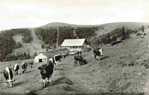 AK / Ansichtskarte  Steinlebach Linthal Guebwiller Alsace 68 Haut-Rhin Ferme Restaurant 