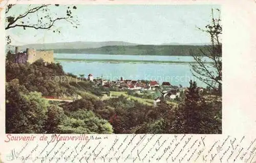 AK / Ansichtskarte  Neuveville La Neuenstadt Bielersee Preles BE Panorama Chateau