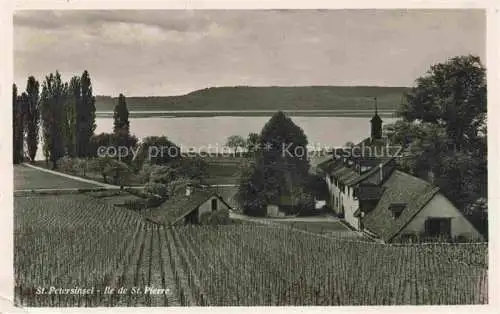 AK / Ansichtskarte  St Petersinsel Sankt Petersinsel Erlach BE Panorama