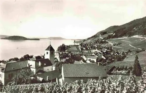 AK / Ansichtskarte  Twann Nidau BE Panorama mit St Petersinsel