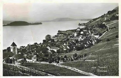 AK / Ansichtskarte  Twann Nidau BE am Bielersee Panorama mit St Petersinsel