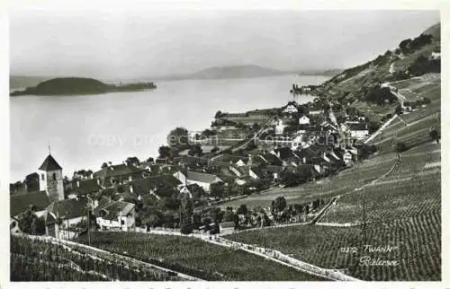 AK / Ansichtskarte  Twann Nidau BE am Bielersee Panorama mit St Petersinsel