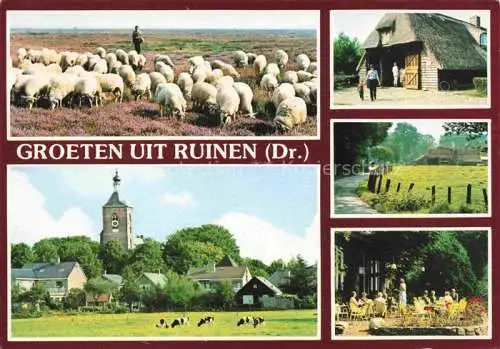 AK / Ansichtskarte  Ruinen Heidelandschaft Schafherde Bauernhof Restaurant Terrasse Ansicht mit Kirche