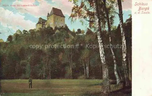 AK / Ansichtskarte  Burgk Saale-Orla-Kreis Blick vom Birkenwaeldchen zum Schloss