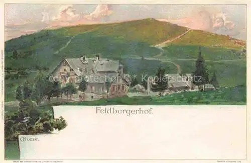 AK / Ansichtskarte  BIESE Carl Karl Kuenstlerlitho Feldbergerhof