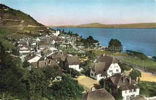 AK / Ansichtskarte  Twann Nidau BE Douanne Bielersee Panorama