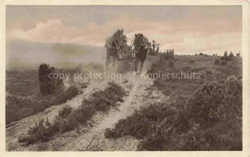 AK / Ansichtskarte  LueNEBURGER HEIDE HAIDE Landschaftspanorama Lueneburger Heide Durch wilde Heide Pferdewagen Feldpost