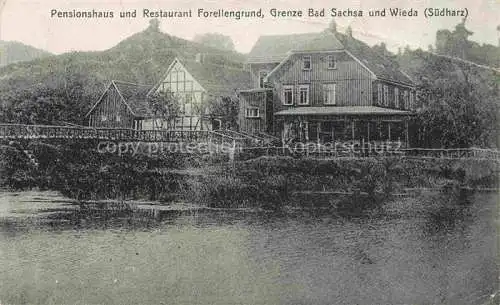 AK / Ansichtskarte  Bad Sachsa Osterode Harz Pensionshaus und Restaurant Forellengrund