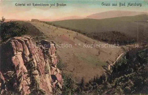 AK / Ansichtskarte  BAD HARZBURG Panorama Eckertal mit Rabenklippen und Brocken