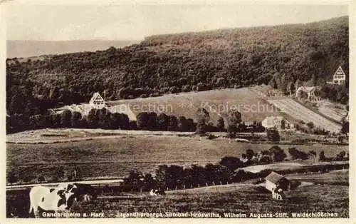 AK / Ansichtskarte  Gandersheim Bad Jugendherberge Solbad Roswitha Wilhelm-Augusta-Stift Waldschloesschen