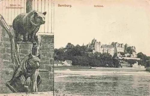 AK / Ansichtskarte  Bernburg Saale Baeren im Schlosszwinger Blick zum Schloss