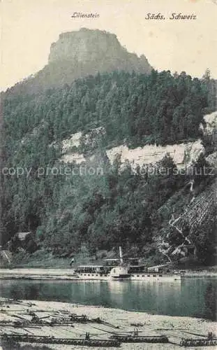 AK / Ansichtskarte  Bad Schandau Saechsische Schweiz-Osterzgebirge Blick ueber die Elbe zum Lilienstein Elbsandsteingebirge Dampfer