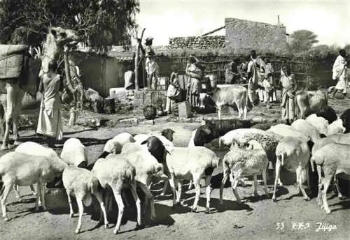 AK / Ansichtskarte  Schaeferei Sheperding Bergerie-- A nomad Village Addis Ababa