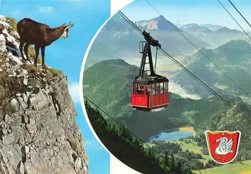 AK / Ansichtskarte  Seilbahn Cable-Car Telepherique Tegelberg Schwangau Allgaeu Gemse 