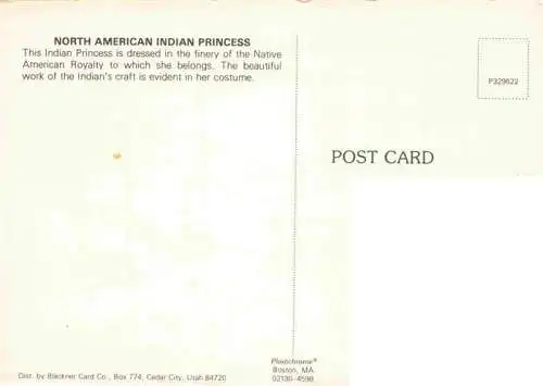 AK / Ansichtskarte  Indianer Native American North American Princess