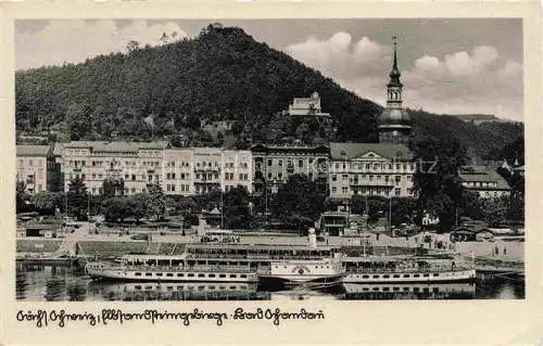 AK / Ansichtskarte  Bad Schandau Saechsische Schweiz-Osterzgebirge Panorama Elbepartie