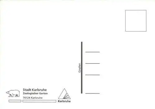 AK / Ansichtskarte  Zoo Gardin Zoologique-- Karlsruhe Giraffen