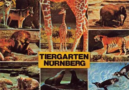 AK / Ansichtskarte  Zoo Gardin Zoologique-- Nuernberg Seelowen Tieger Giraffe Affen Elefant Eisbaeren