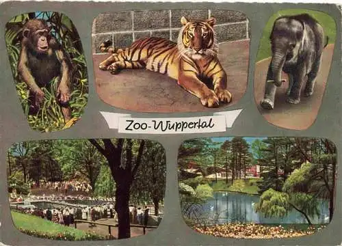 AK / Ansichtskarte  Zoo Gardin Zoologique-- Wuppertal Affe Elefant Loewe 