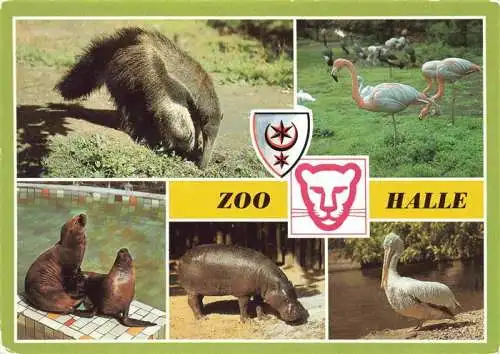 AK / Ansichtskarte  Zoo Gardin Zoologique-- Halle Ameisenbaer Flamingo Pelikan 