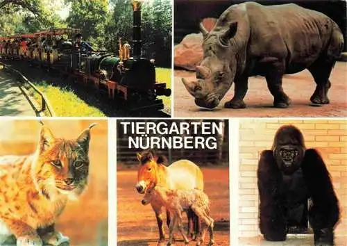 AK / Ansichtskarte  Zoo Gardin Zoologique-- Nuernberg Nashorn Wildkatze Esel Gorilla 