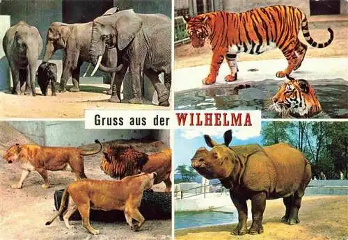 AK / Ansichtskarte  Zoo Gardin Zoologique-- Wilhelma  Elefanten Loewe Panzernashorn 