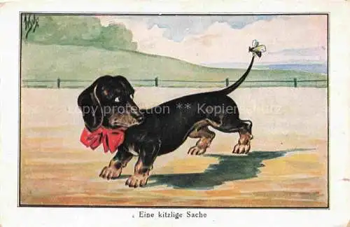 AK / Ansichtskarte  Dackel Dachshund Teckel Hunde dogs Chiens Cani Papillon krawatten