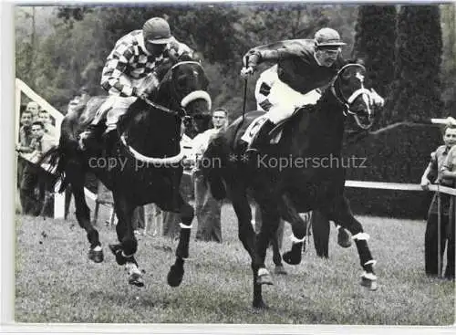 AK / Ansichtskarte  Reitsport Pferdesport Pferderennen Aarau Schachen