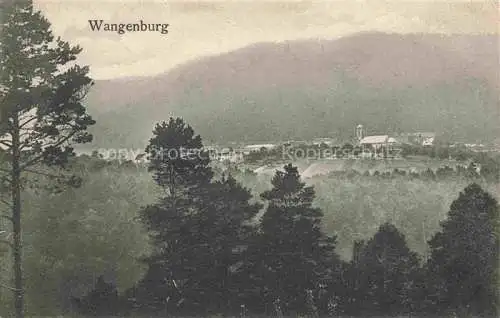 AK / Ansichtskarte  Wangenburg Wangenbourg 67 Alsace Panorama