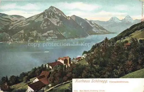 AK / Ansichtskarte  Vierwaldstaettersee Vierwaldstaedtersee SZ Kurhaus Schoenegg