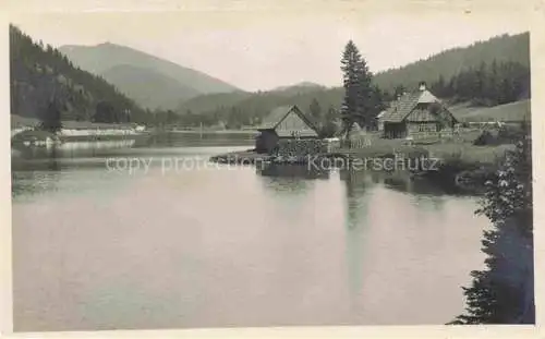 AK / Ansichtskarte  Walster Region Mariazell Steiermark AT Hubertus See