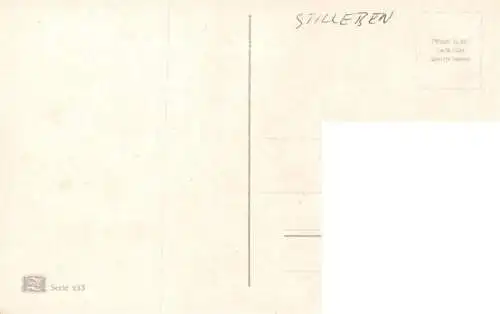AK / Ansichtskarte  Stillleben Stilleben Kuenstlerkarte Nr. 253 Tomaten 