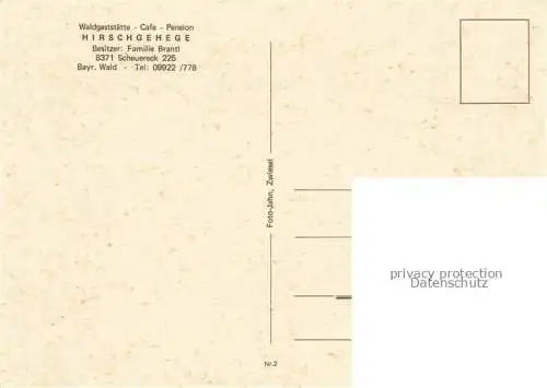 AK / Ansichtskarte  Scheuereck Waldgaststaette Café Pension Hirschgehege Waldpartie Landschaftspanorama