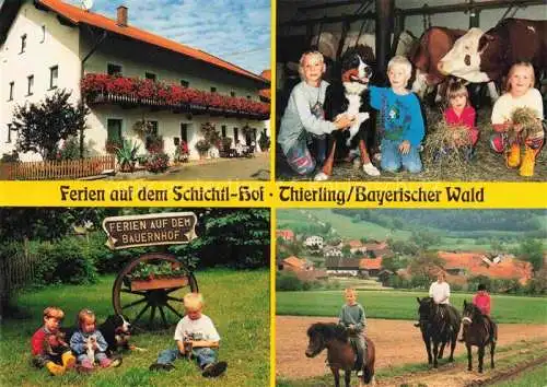 AK / Ansichtskarte  Schorndorf Oberpfalz Ferien auf dem Schichtl-Hof Urlaub auf dem Bauernhof Kuhstall Ausritte