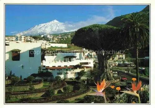 AK / Ansichtskarte  Islas Canarias ES Drago Milenario y el Teide Icod de los Vinos